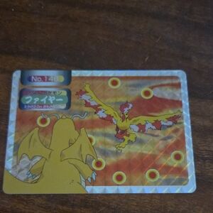 Holographic 1999 Pokemon Pocket NoCard with Dragon and Fire Bird